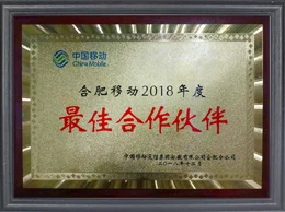 合肥移动 2018 年度最佳合作伙伴