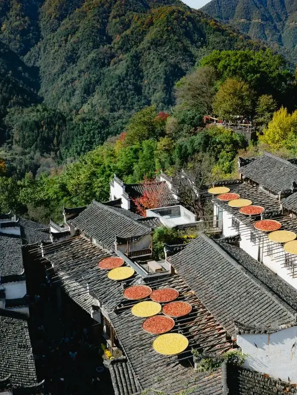 亳州市