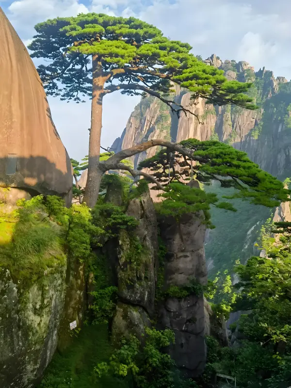 黄山市