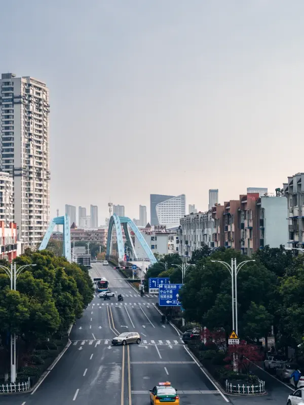 县（区）级政府