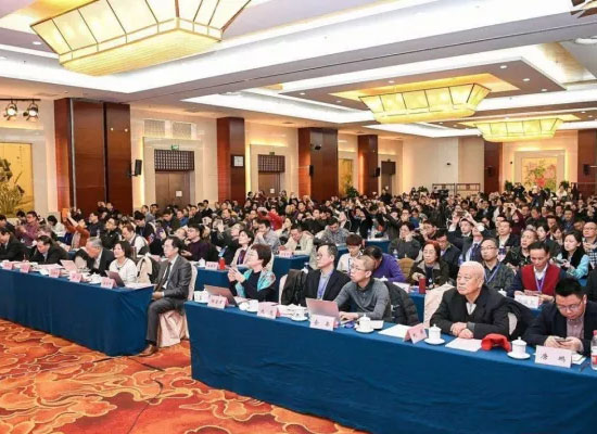 2017互联网+智慧中国年会会议现场